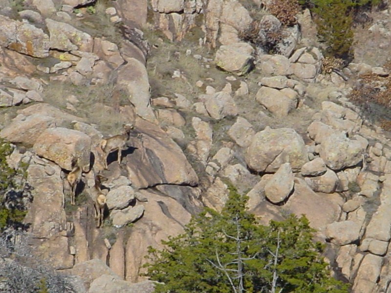 Wichita Mountains, Feb. 2005