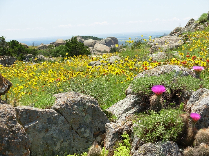 Wichita Mountains, June 2007